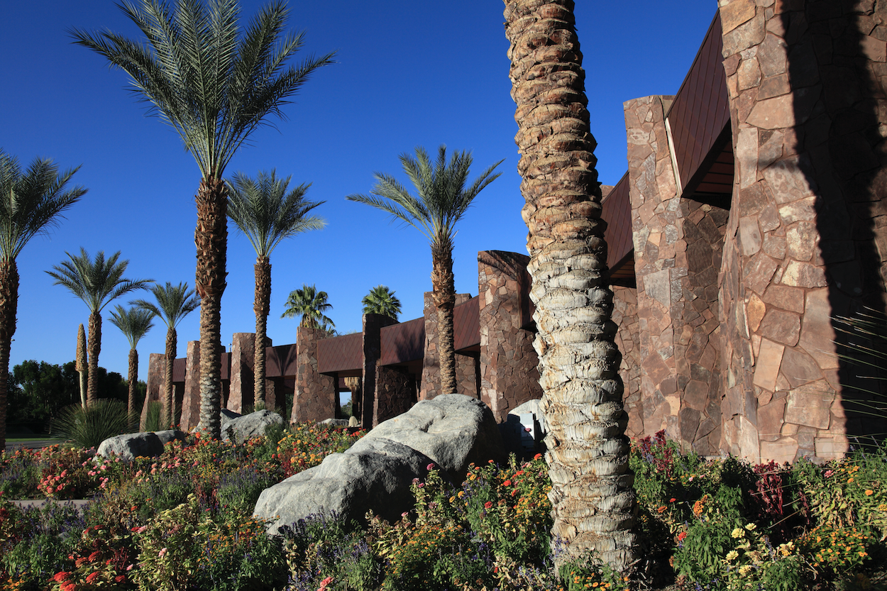 Palm Desert California with Cactus